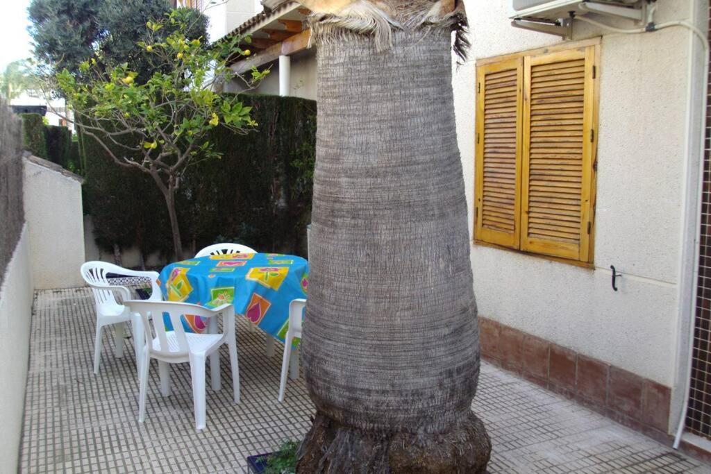 Appartement La Casa De La Palmera à Torrevieja Extérieur photo
