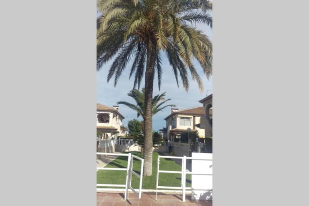 Appartement La Casa De La Palmera à Torrevieja Extérieur photo
