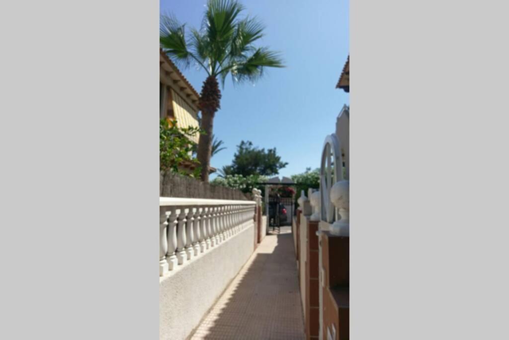 Appartement La Casa De La Palmera à Torrevieja Extérieur photo